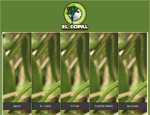 Tablet Screenshot of elcopal.org